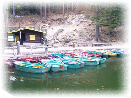 Amselsee Bootsanleger